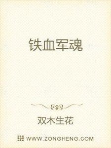 铁血军魂
